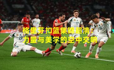 格里芬扣篮集锦超清:力量与美学的空中交响